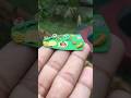 SADHYA MINIATURE Part 1 I Did A Wrong Thing Only Malayalees Knows That Onam Shorts