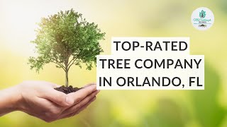 Are You Looking for the Best Tree Service in Orlando?