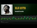 Buju Banton - Sensemelia Persecution (Swing Easy Riddim) [HD]