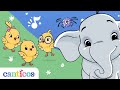 Canticos 30 Best Nursery Rhymes In English Learn And Sing