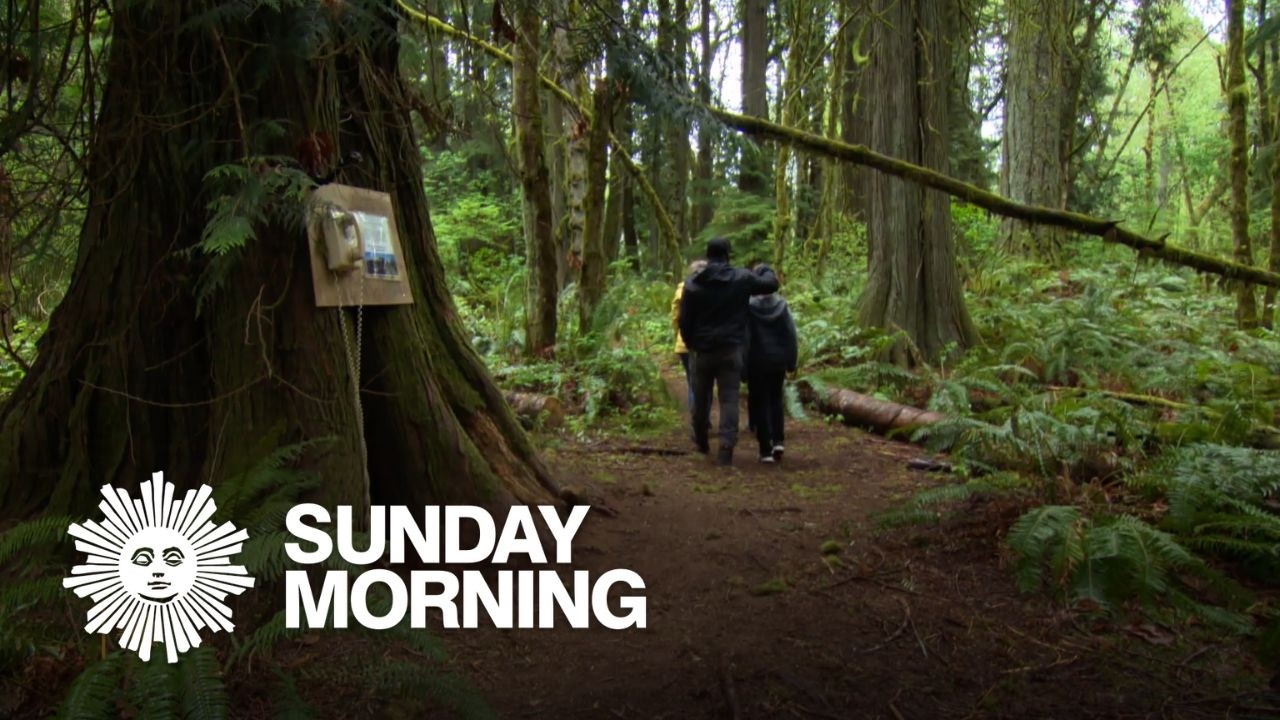 Going off the grid and finding peace