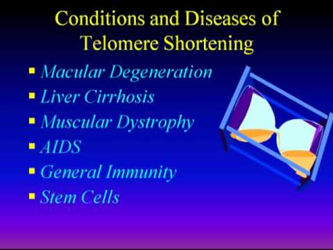 Dr. Bill Andrews at the American Academy of Anti-Aging Medicine (A4M), 9/11/2009