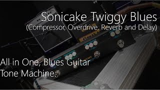 Sonicake Twiggy Blues - Dumble on a Budget