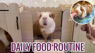 What My Guinea Pigs Eat In A Day | Daily Food Routine 2024