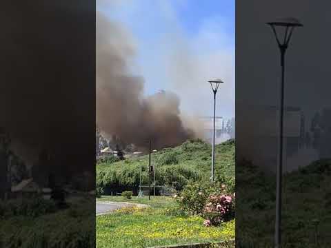 Coronel evacuar sector La Obra de Coronel, incendio forestal cercano a viviendasRegión del Bio Bio.