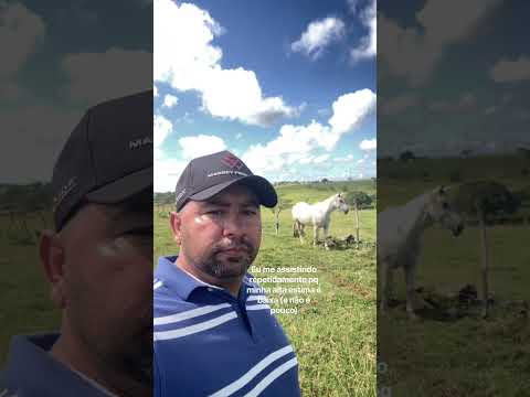 Olho d’Água do mandacaru/Feira Grande-AL #nordeste #alagoas #viral #shorts #viralvideo #fyp #fypシ#fy