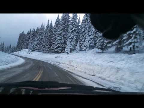 2021 Mt Shasta Honoring Doom.