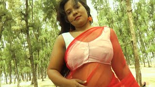 Saree Sundari  NAARI Feat Rose  Red Net saree  Ara