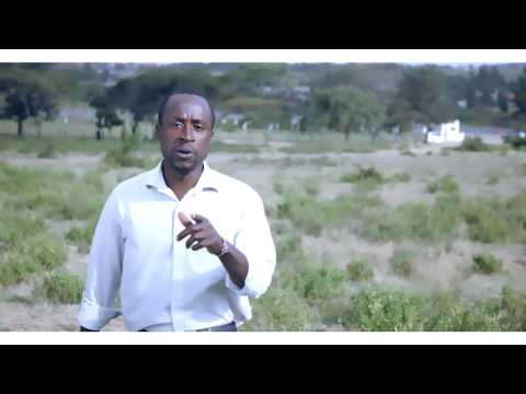 Pa Peace   Corruption