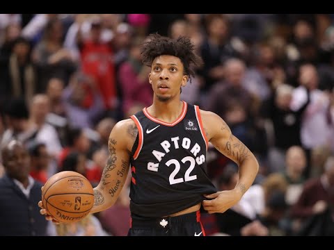 Malachi Richardson 2018-2019 Raptors Highlights