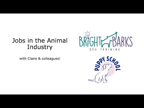 , title : '8) JOBS IN THE ANIMAL INDUSTRY WITH CLAIRE - All About Pets'