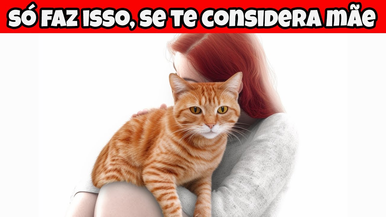 17 Sinais De Que Seu Gato Te Considera A Mãe Dele