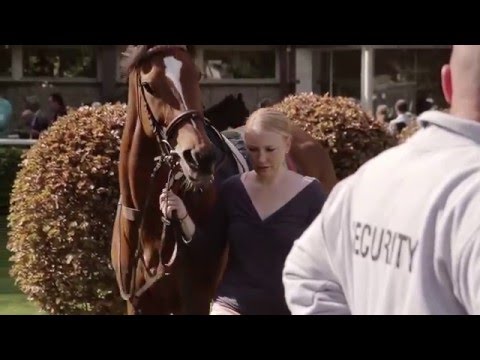 Benefizrenntag 2013 zugunsten des Kinderschutzbundes Köln
