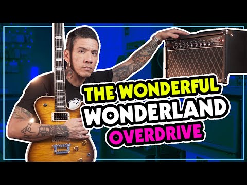Amplified Nation Wonderland Overdrive 50W Amplifier Head image 3