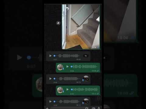 Was sollte ich den sonst machen?!#chef #florian #baustelle #arbeit #entertainment #foryou #whatsapp