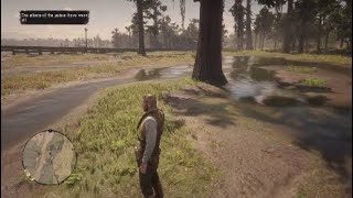 RED DEAD REDEMPTION 2 - SNAKE POISON CURE
