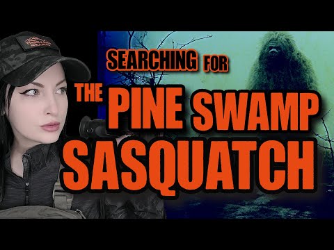 Bigfoot Research- Searching For The Pine Swamp Sasquatch - NEW BIGFOOT DOCUMENTARY