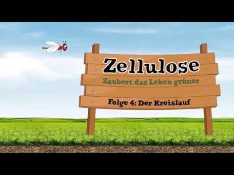 ISOCELL Fee Teil 4: Der Kreislauf | 1:13 min