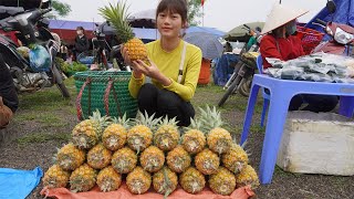 Simple rural life: 19 year old single girl Harvesting pineapple fruit go to the village market sell