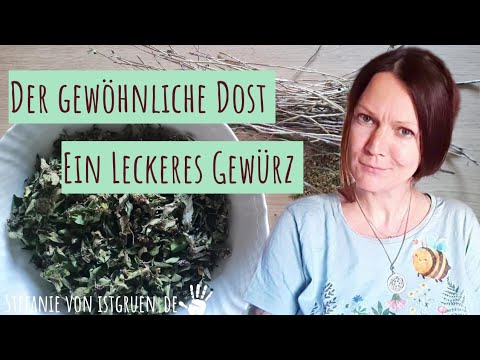 Dost (wilder Oregano) – aromatisches Küchenkraut mit heilender Wirkung