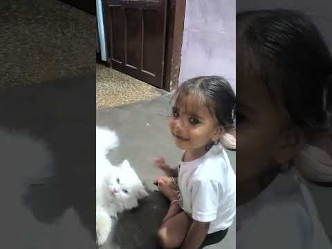 Fateh patted gently to his Cat