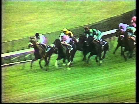 1986 Trusthouse Forte Prix de l'Arc de Triomphe