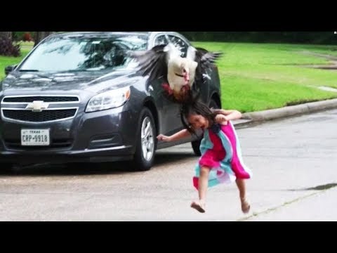 Funny Evil Goose Chasing People||Funny Everyday