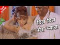 दिल दिल मेरा प्यासा दिल HD वीडियो सोंग प