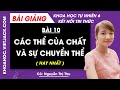 Các thể của chất và sự chuyển thể | Khoa học tự nhiên 6 - Kết nối tri thức | Bài 10