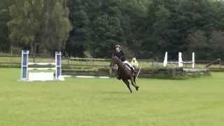 Video koně Peek a Boo