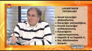 Lavantanın Faydaları ve Lavanta Kürü - TRT DİYANET