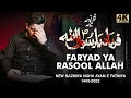 Faryad Ya Rasool Allah (s.a.w) | Mir Hasan Mir Ayam e Fatmiya Noha 2022 | New Nohay 2021