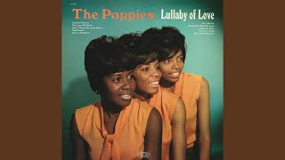 Lullaby of Love