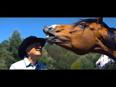 Megitza - "Konie, moje konie" OFFICIAL MUSIC VIDEO