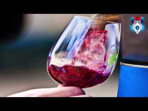 download lagu mp3 mp4 Pinotage Wine South Africa, download lagu Pinotage Wine South Africa gratis, unduh video klip Pinotage Wine South Africa