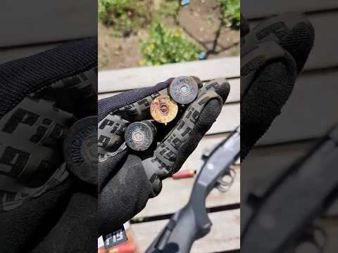 Will Rusty Shotgun Ammo Work?🤔
