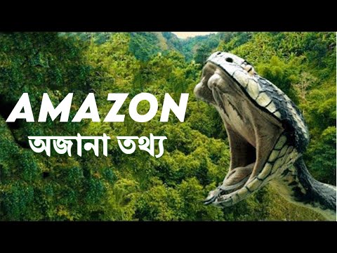 অ্যামাজন নদী সম্পর্কে অজানা তথ্য | Fact of Amazon rainforest