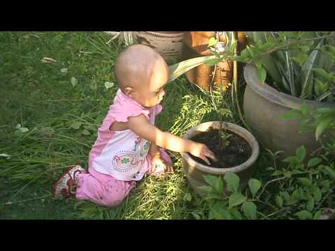 aleesya gardening day
