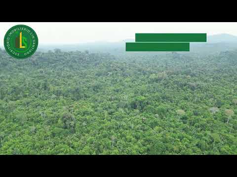 Em Roraima! Vendo Fazenda de 1.476 ha, município de Iracema - Ajarani. CTT: (95) 98406-7188.