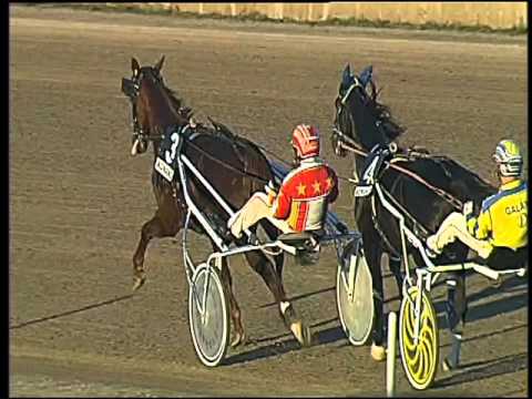 Trotto 08/11/2015 - 5° corsa