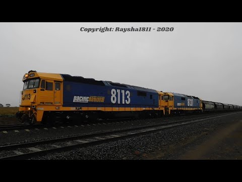 7736V - 8113-8131 (Grain) Gheringhap - Australian Trains by RaySha1811