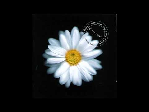 Vlasta Redl a KDJ - Moc dobře vím (jak máš mě ráda)