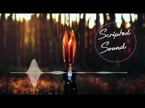 Delskiz - Chords & Poetry