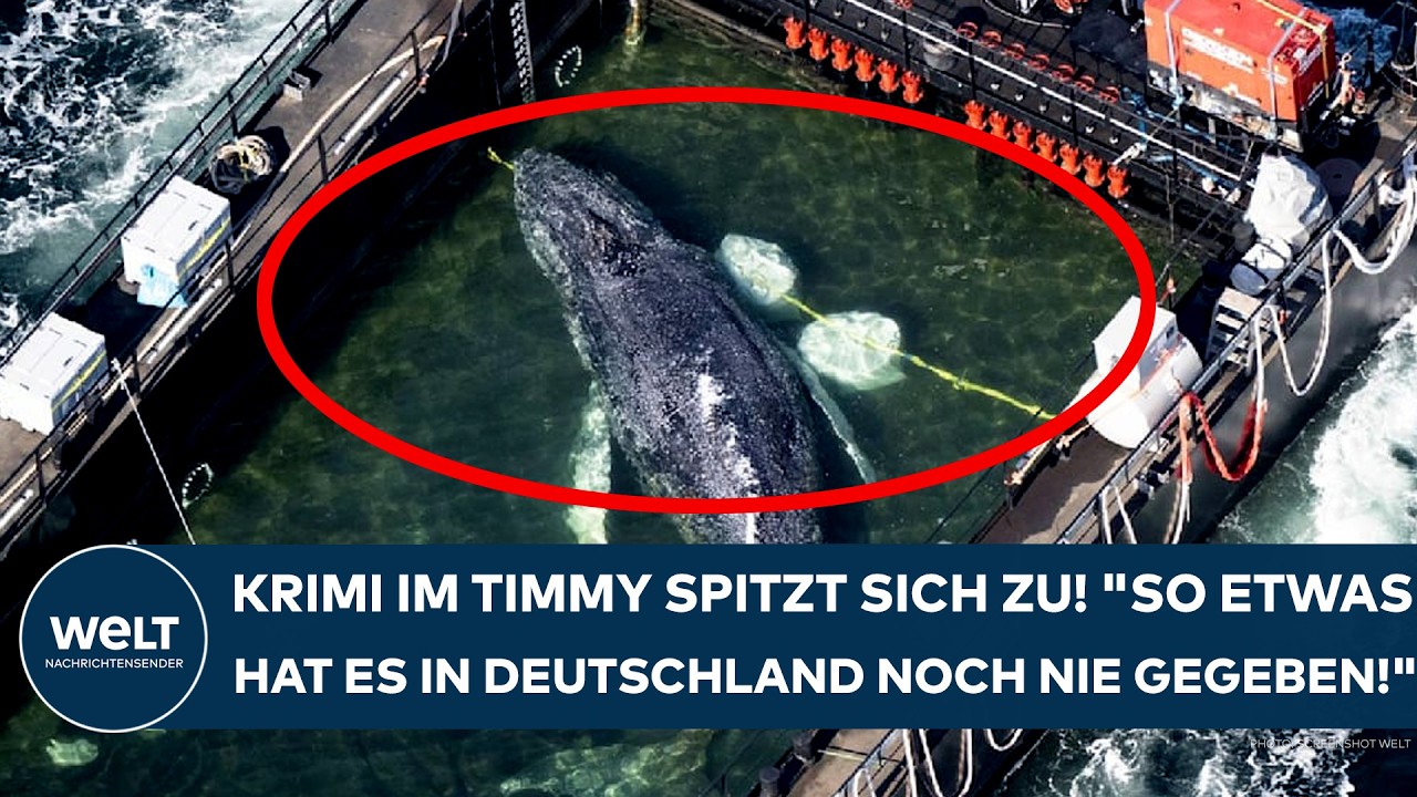 INSEL POEL: "Sie haben ein Stückchen Walgeschichte geschrieben!" Minister hebt eine Person hervor!