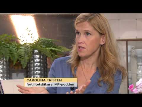 Fertilitetsexperterna om sekundär barnlöshet - Nyhetsmorgon (TV4)