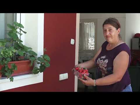 Agro karavan ep.231 - Jasika i Kukljin - 12.06.2022.