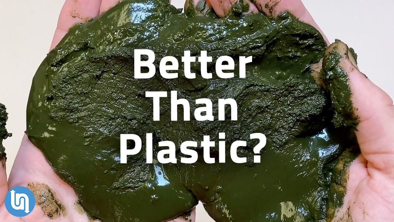 Why Algae May Be the Plastic of the Future