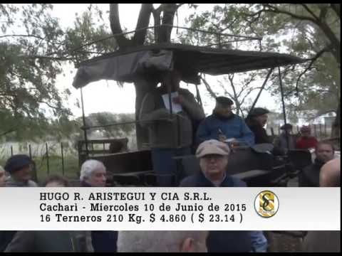 10-06-15 Venta de Machos - Hugo R. Aristegui y Cia S.R.L. - Cacharì.