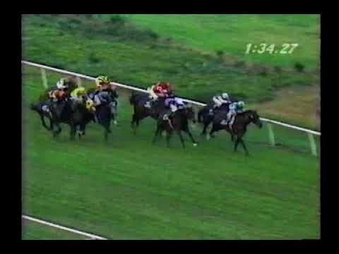 1992 Hollywood Derby