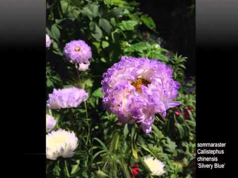 Hur en rabatt blir till